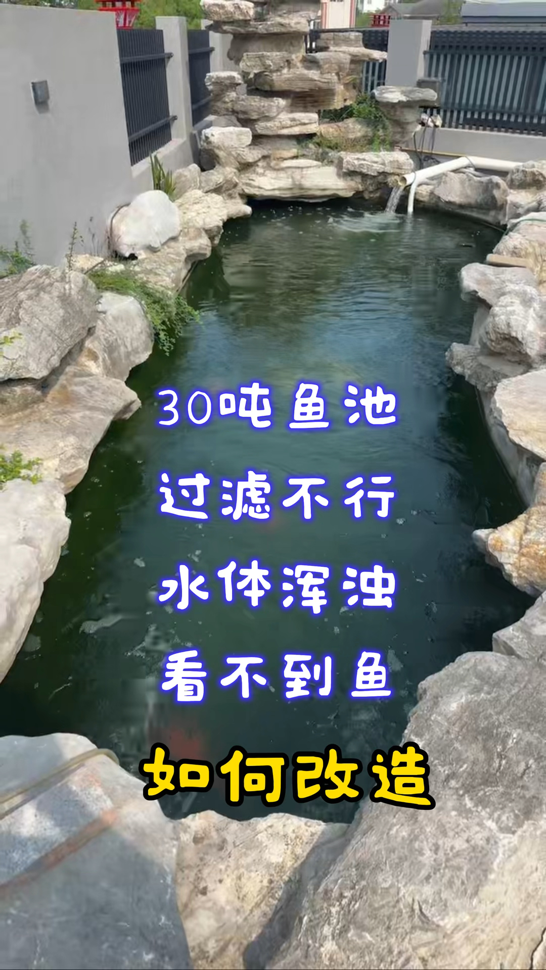 30吨鱼池配一个外置过滤箱能行吗?水体浑浊不堪,赶紧改造吧