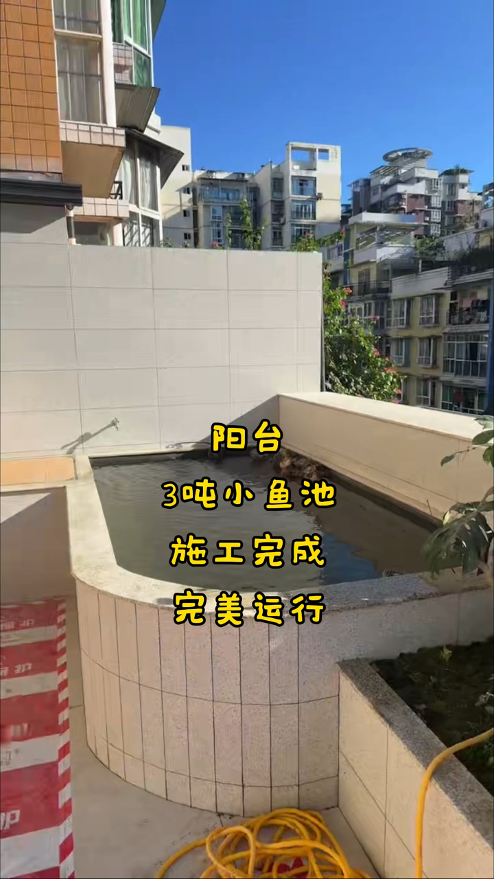 自建阳台小鱼池，3吨水体3仓过滤，满足你养鱼爱好