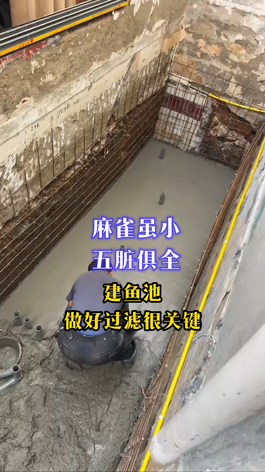 自建锦鲤鱼池，设计4仓过滤，走水结构很重要