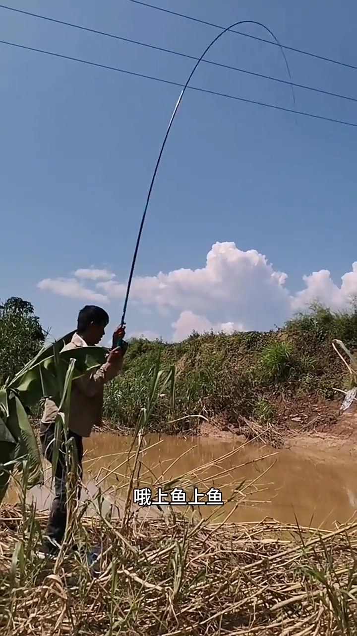 今天钓友来找我钓鱼，用我的鱼竿帮我解锁了我心心念念的红吉罗