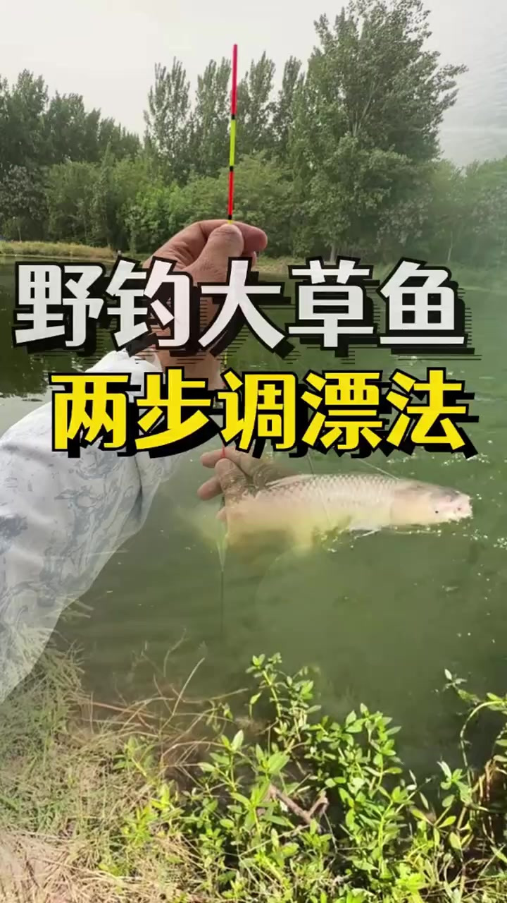 野钓大草鱼，最简单好用的两步调漂方法！