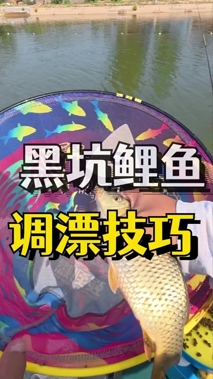 黑坑鲤鱼如何调漂，还在迷茫的小白，快快看过来吧！
