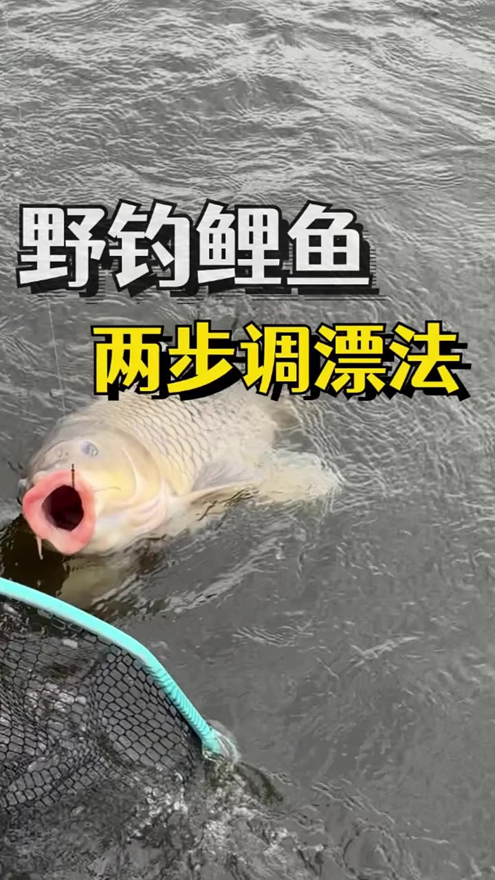 挂玉米野钓大鲤鱼，最好用，最简单的两步调漂方法！