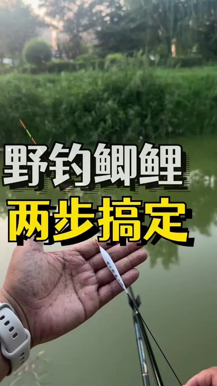 入秋后，野钓鲫鲤两步调漂，钓灵钓顿你们说了算！