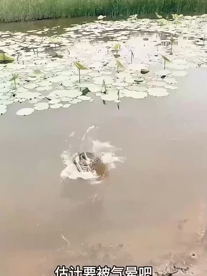 女儿“捣乱”惹怒钓鱼爸,鞋子进水鱼被放,悲剧搞笑同时上演!