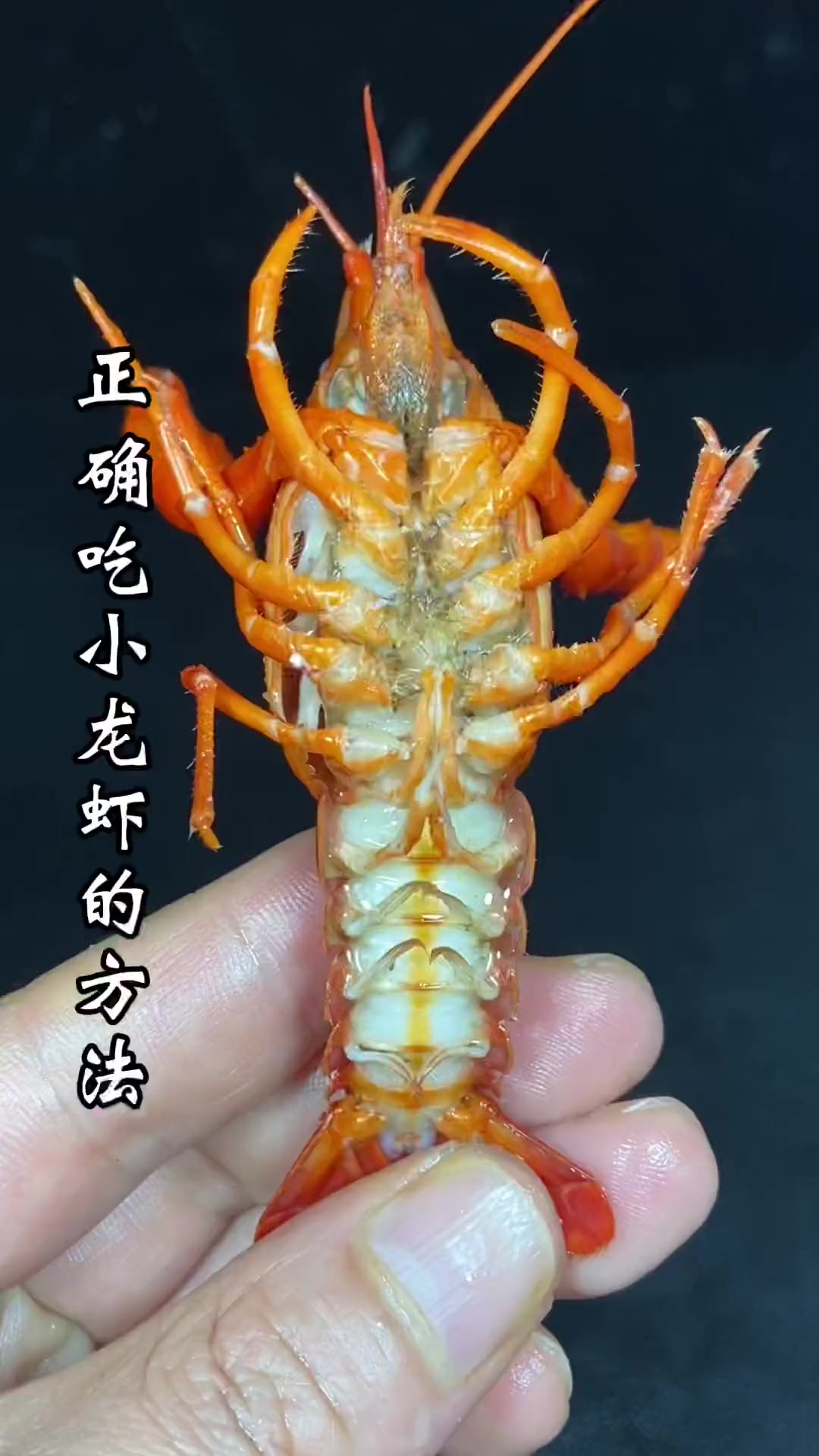 正确吃小龙虾的方法应该是这样的，你学会了吗？