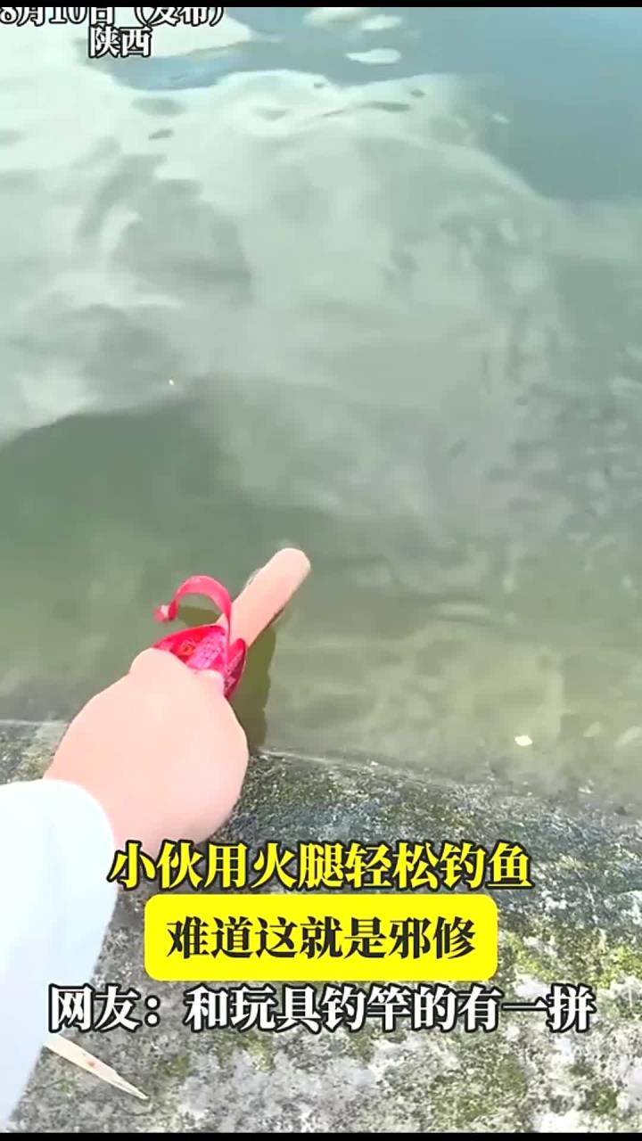 小伙用火腿轻松钓鱼,难道这就是邪修,网友:和玩具钓竿的有一拼