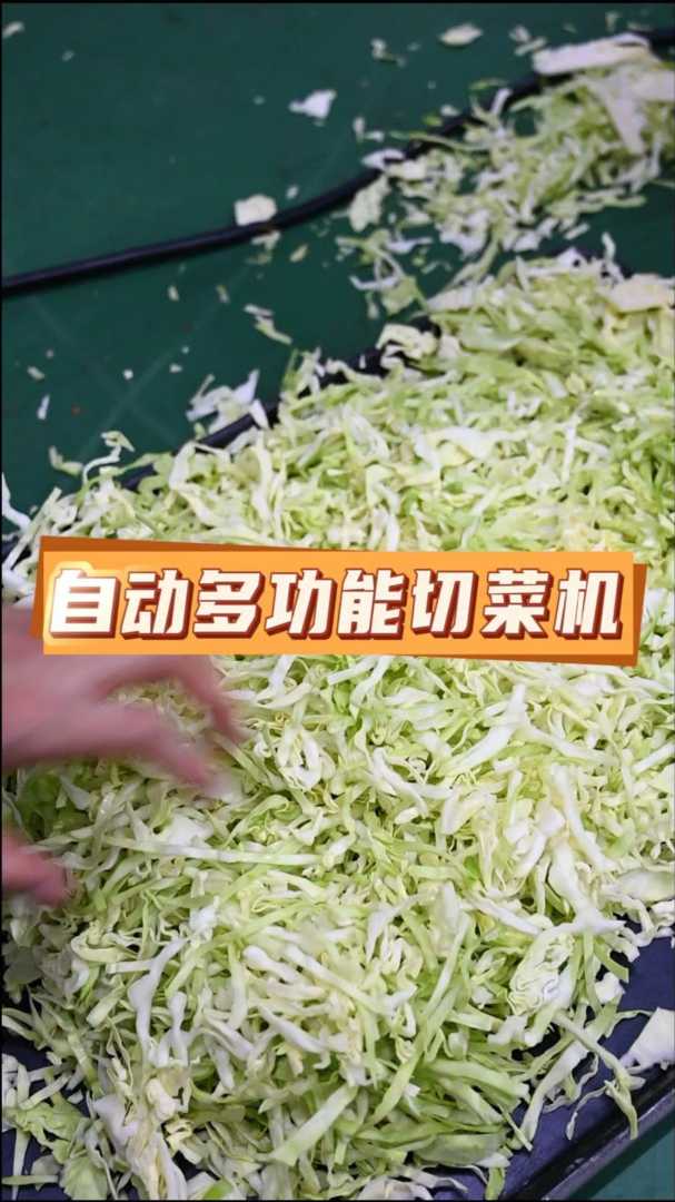 多功能切菜机