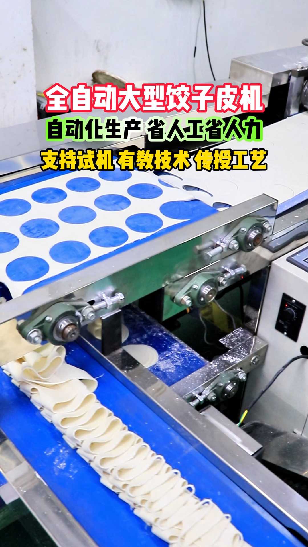 全自动大型饺子皮机
