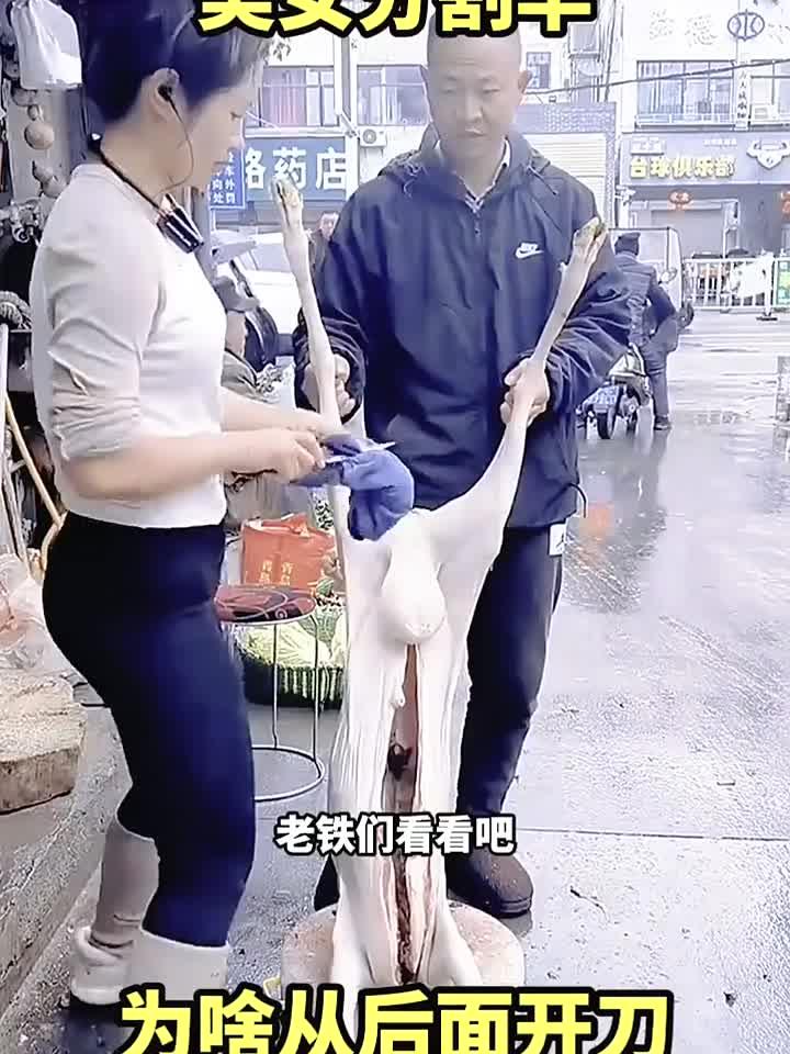 美女分割羊，为啥从后面开刀