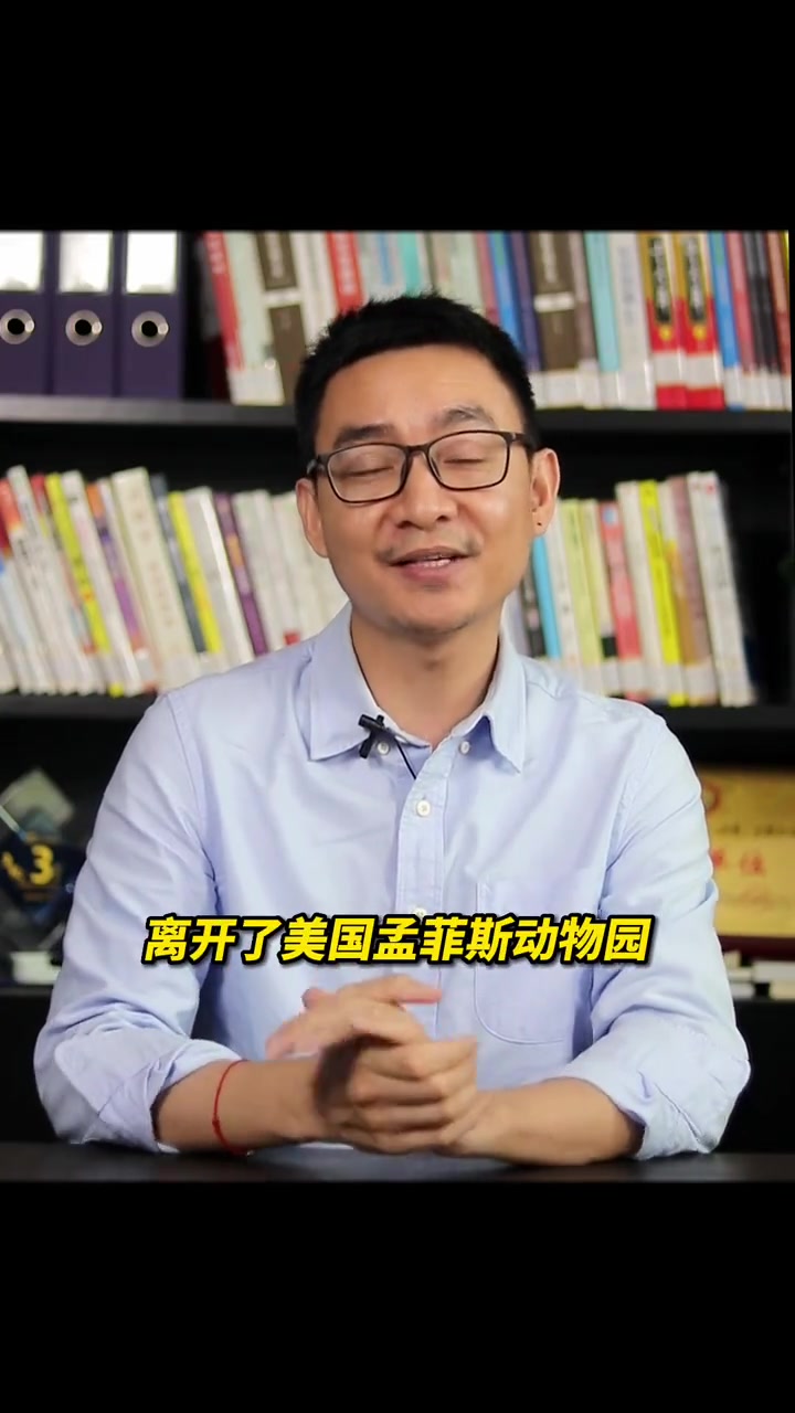 不吃“猫血馒头”！利用熊猫丫丫回国抢注商标，品牌真的会有好感度吗？！