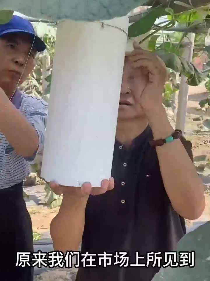 你见过文玩葫芦塑形的过程吗