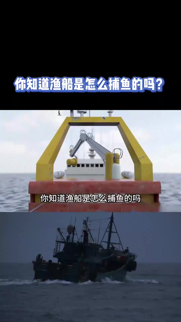 你知道渔船是怎么捕鱼的吗?