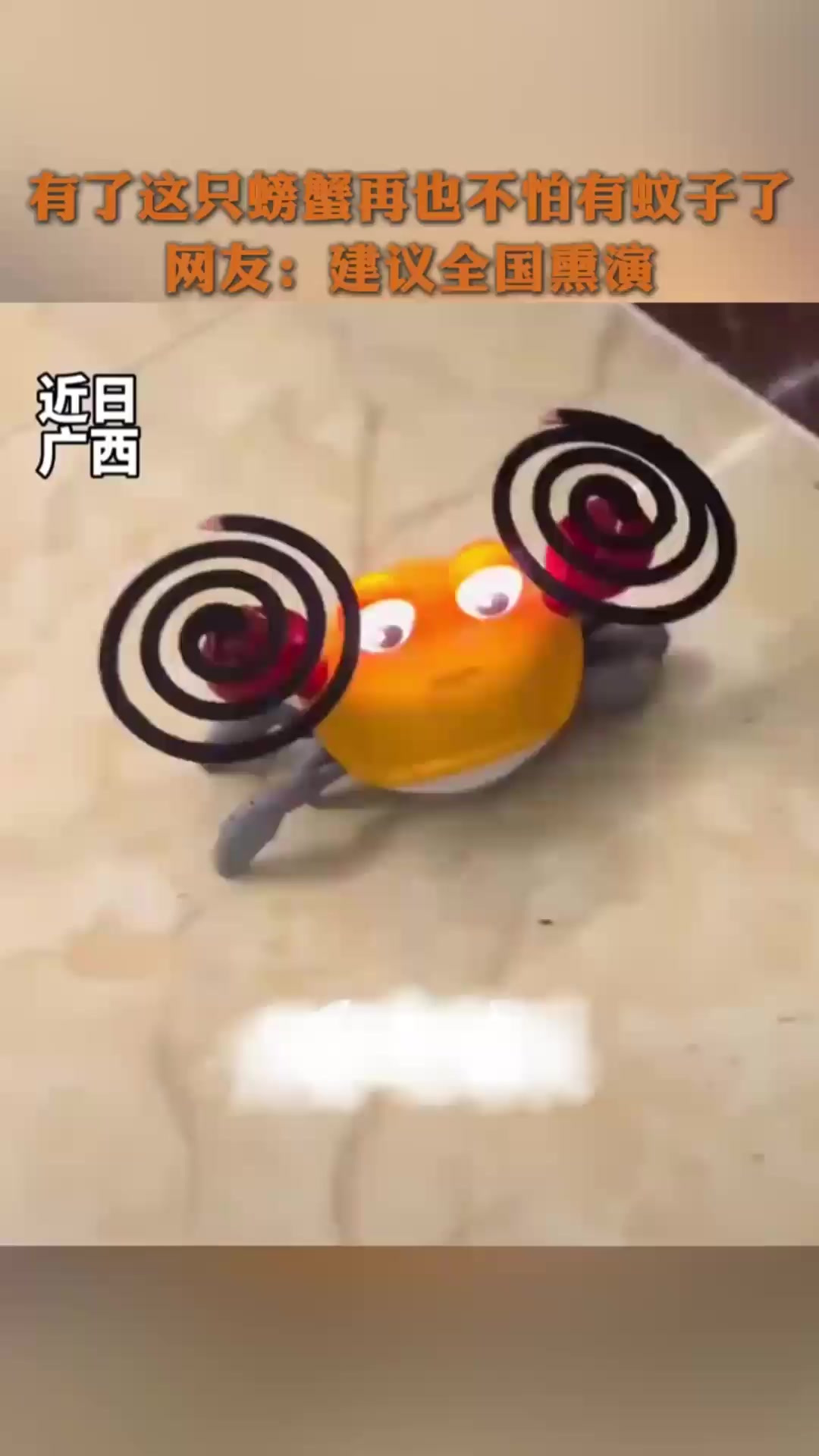 近日,广西,有了这只螃蟹再也不怕有蚊子了。网友:建议全国熏演(来源:黑龙江日报)