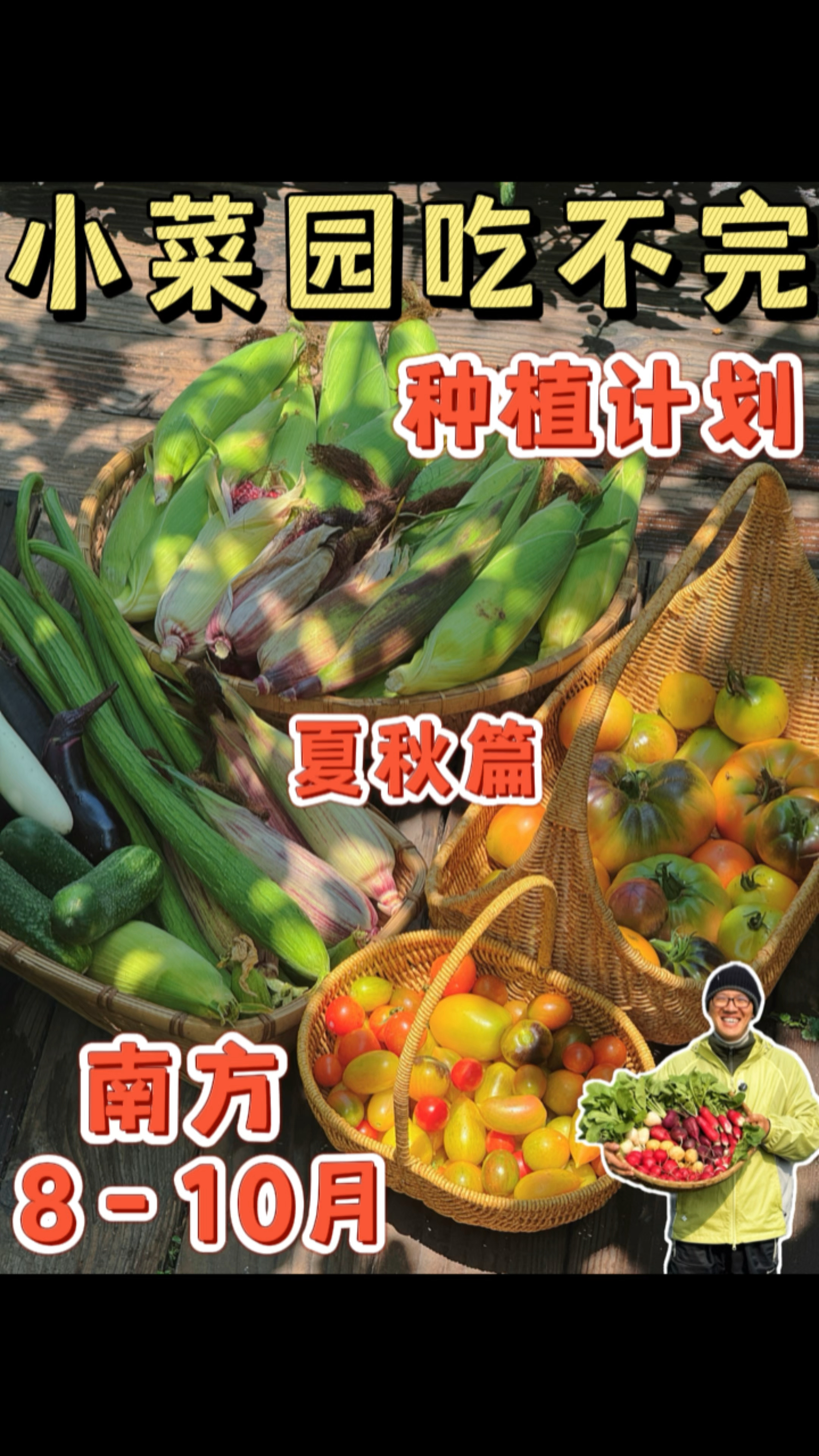 南方小菜园8～11月种植计划分享!八月九月十月能种什么菜