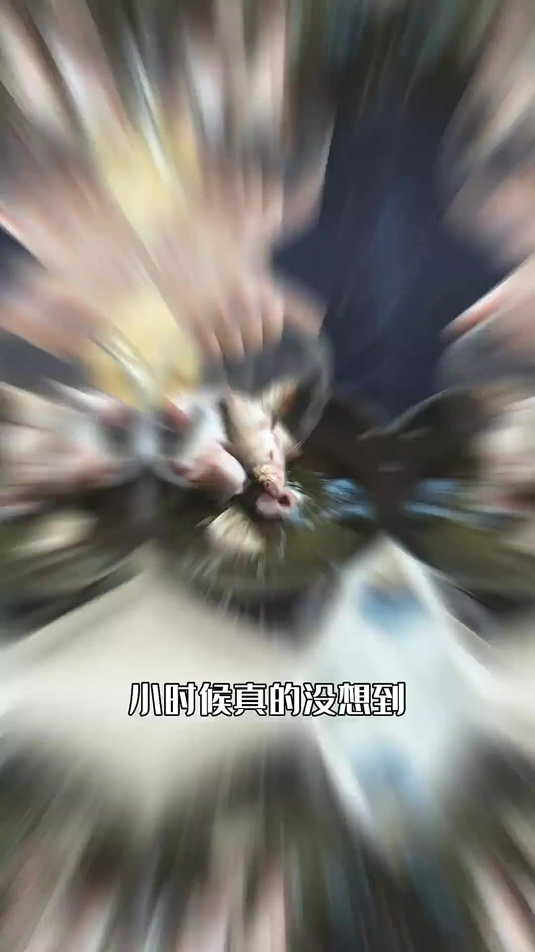 我想广东人都无法拒绝一口豆豉鲮鱼吧?