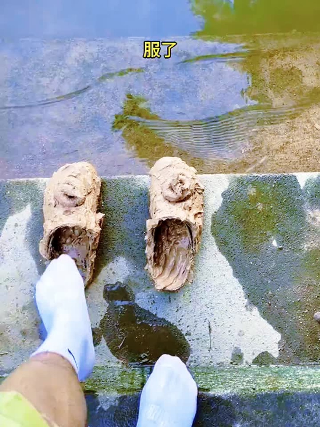 自制珍珠奶茶,轻松实现饮品自由!