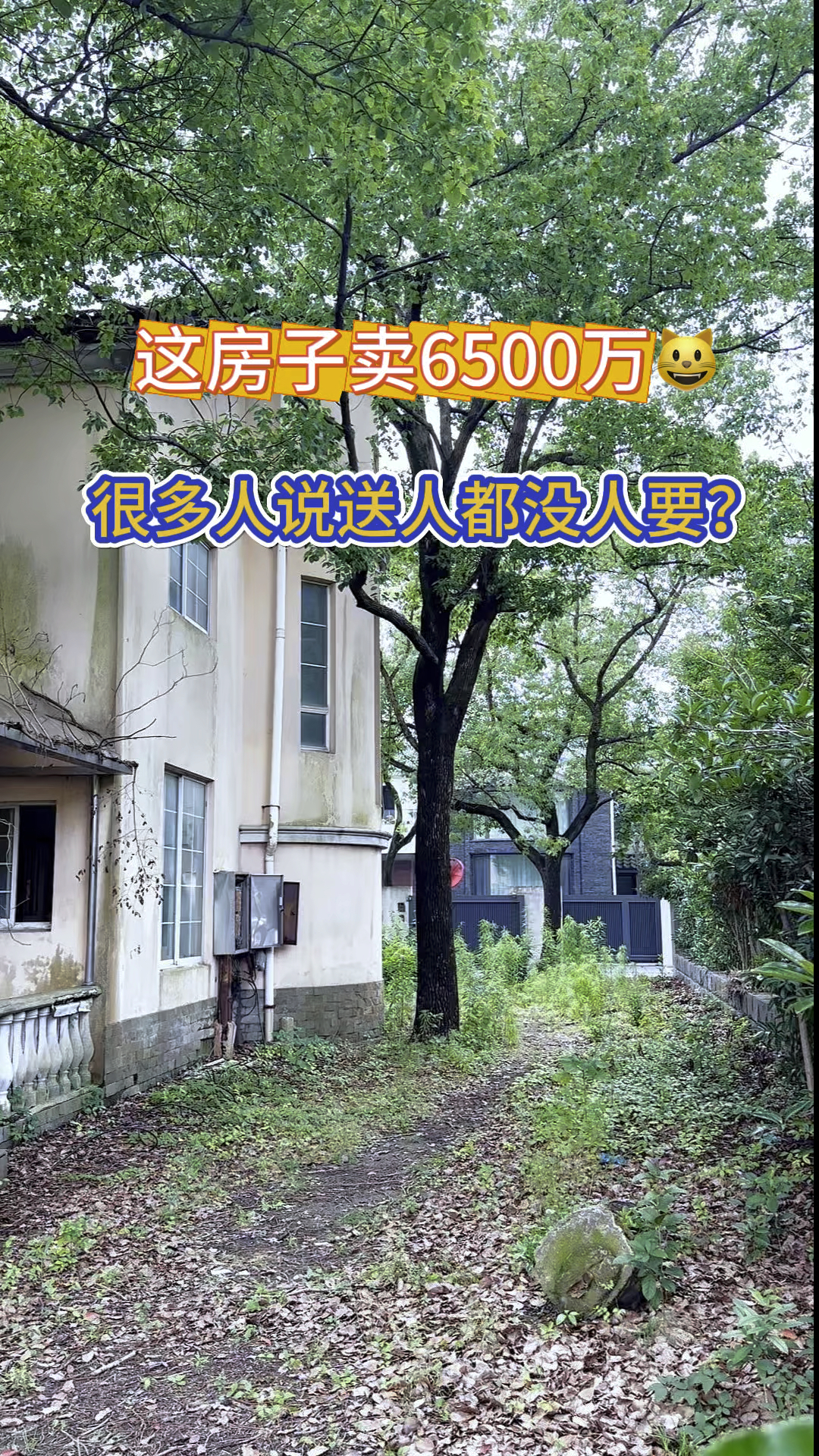 在这里6500万只能买这样的别墅#独栋别墅 #实景拍摄现场 #上海买房#好房推荐#汤臣高尔