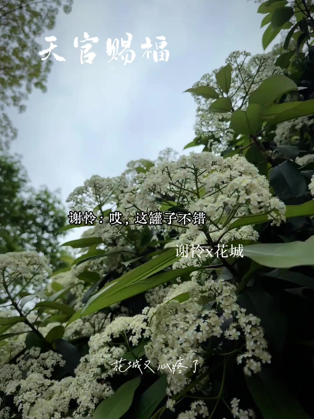这不就是夫唱夫随吗