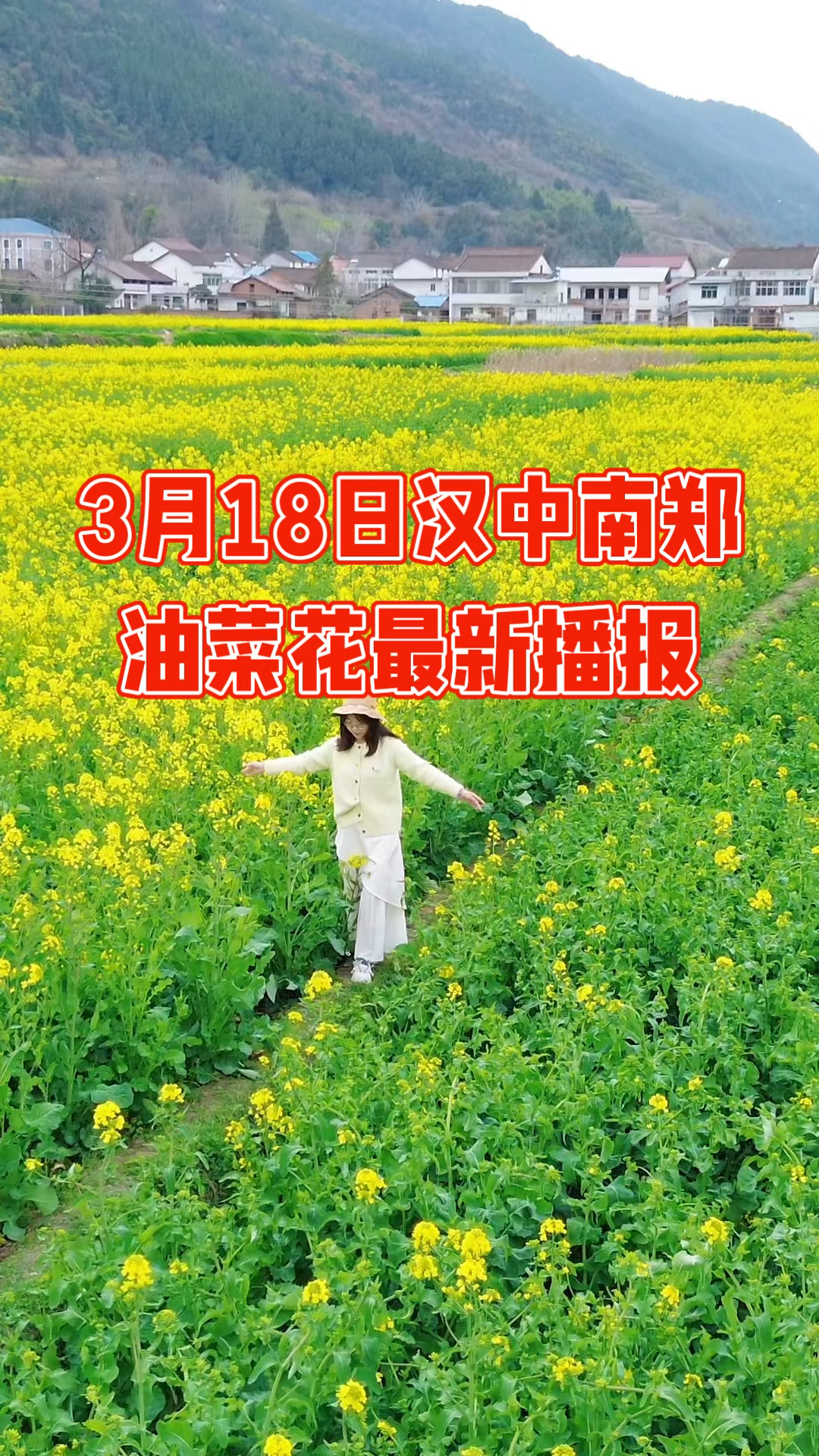 汉中油菜花开了,这个观赏地太美啦!