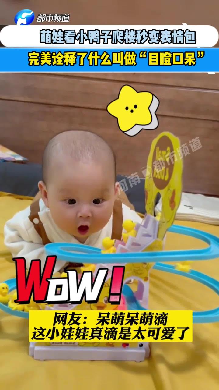 萌娃看小鸭子爬楼秒变表情包,完美诠释了什么叫做目瞪口呆-萌娃