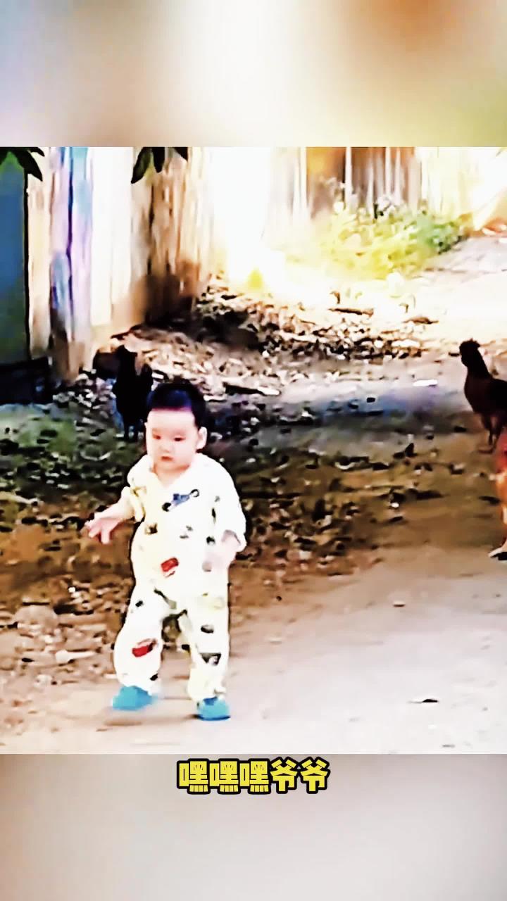 这大公鸡要下锅啦搞笑配音搞笑视频搞笑动物配音1o