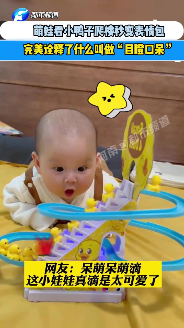 萌娃看小鸭子爬楼秒变表情包,完美诠释了什么叫做目瞪口呆