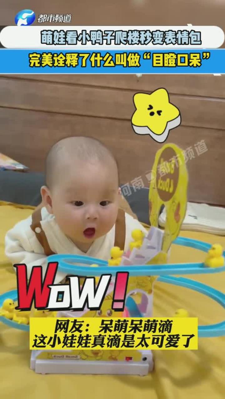 萌娃-萌娃看小鸭子爬楼秒变表情包,完美诠释了什么叫做目瞪口呆