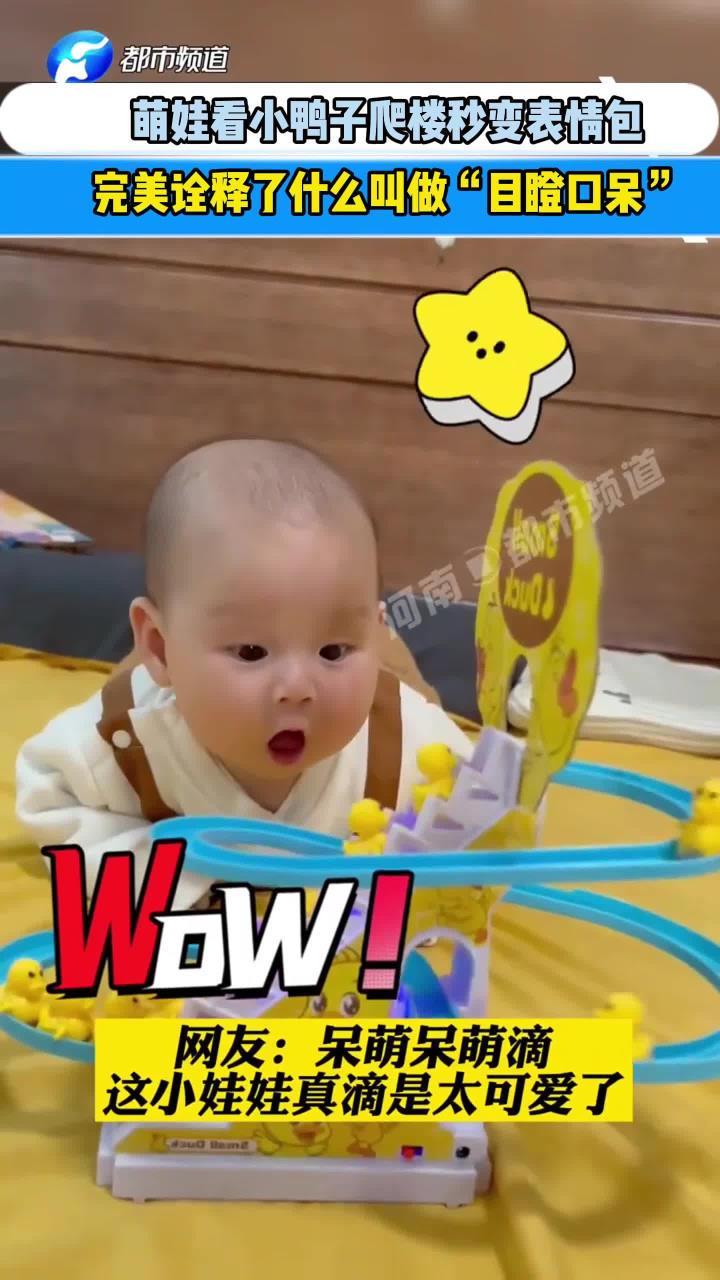 萌娃看小鸭子爬楼秒变表情包,完美诠释了什么叫做目瞪口呆