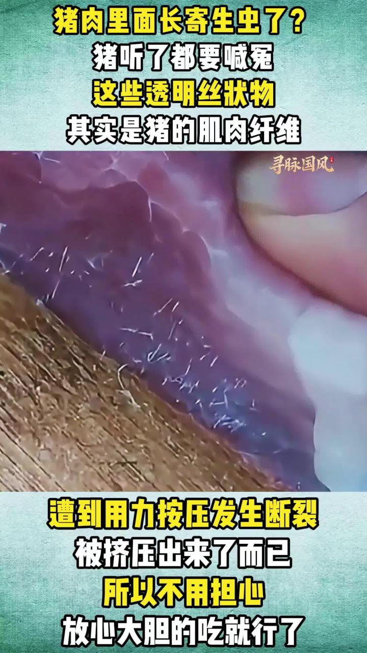 猪肉里面有寄生虫?猪:我死的有点冤,涨知识了