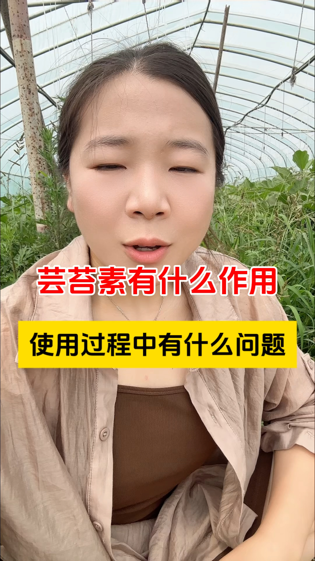 芸苔素作用以及使用注意事项