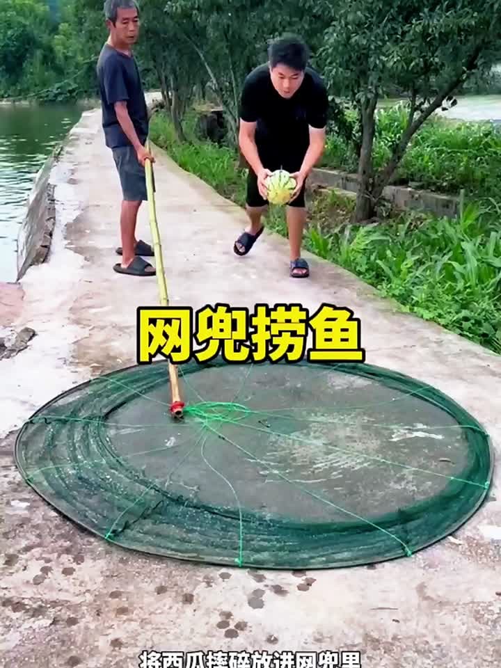 自制网兜放入西瓜捞鱼