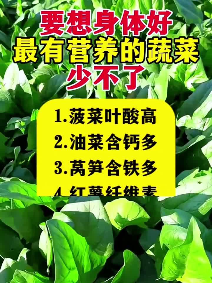 要想身体好最有营养的蔬菜少不了