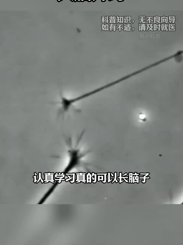 为什么越动脑，人越聪明？