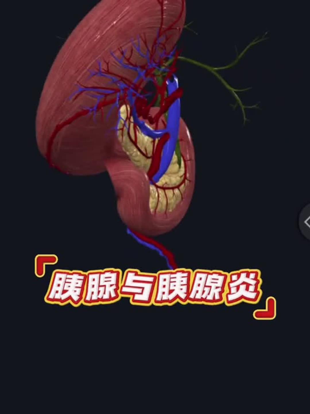 “比目鱼肌”全解析,练出完美小腿!