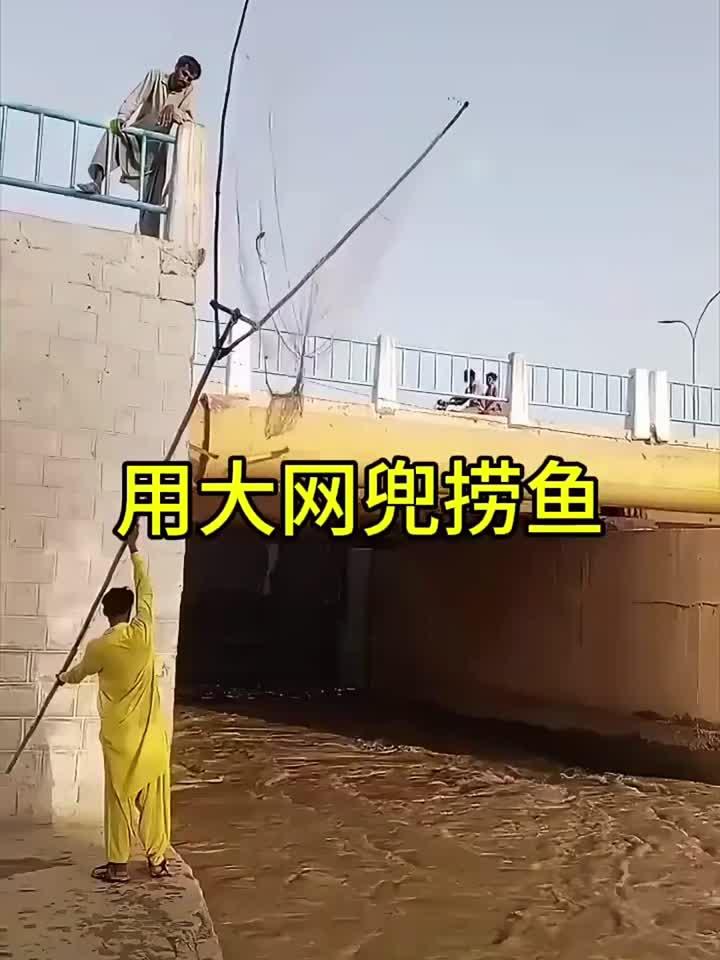用大网兜捞鱼