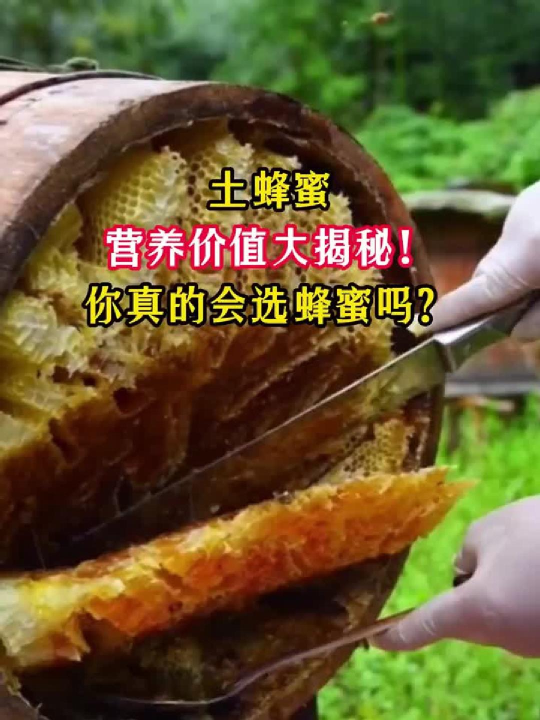 巧妙搭配日常食材激发营养协同效应,开启健康增益新维度