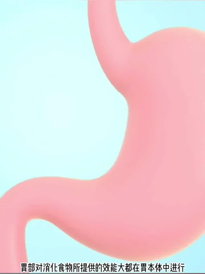 人体消化系统全揭秘
