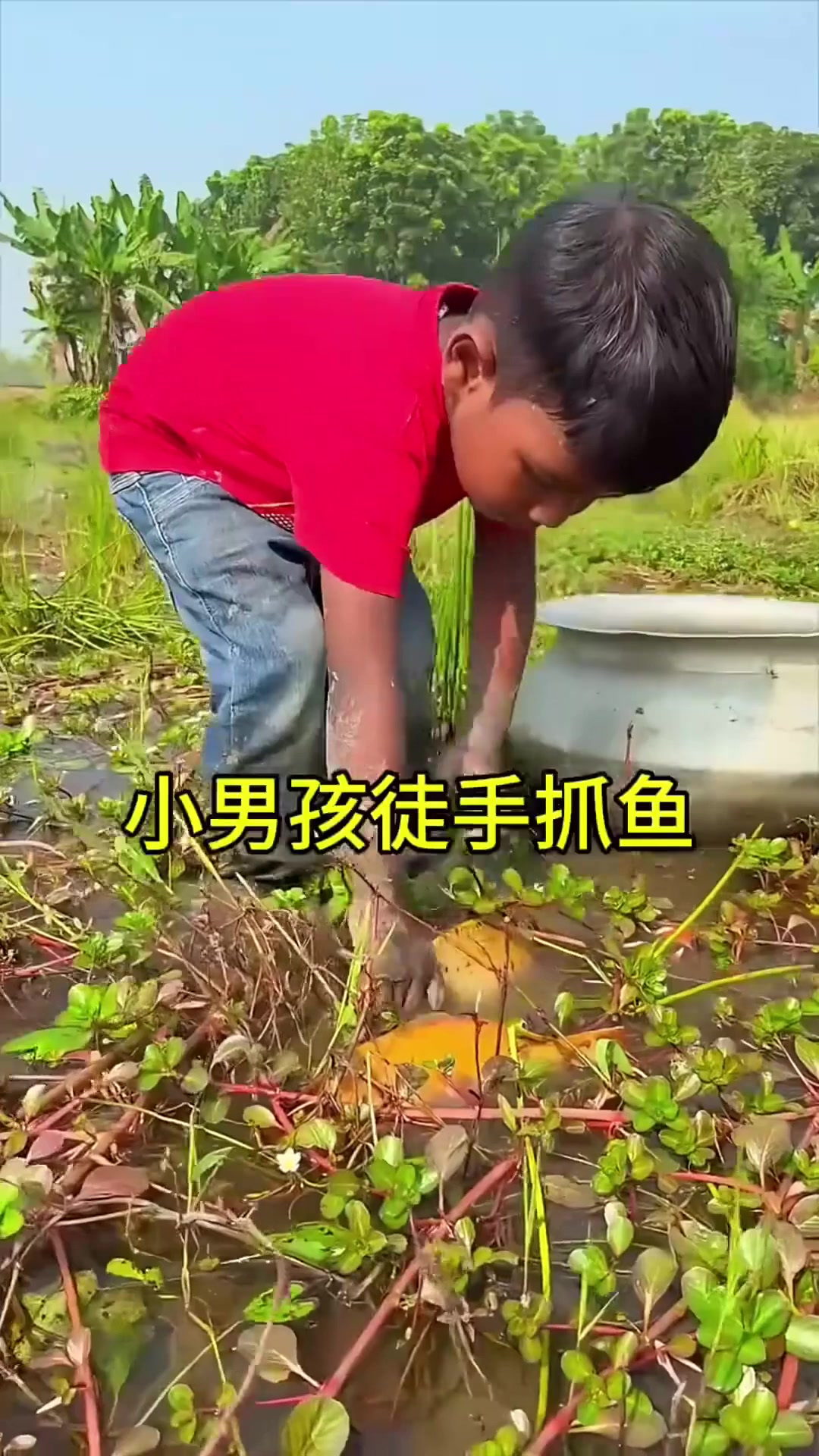 小男孩徒手抓鱼