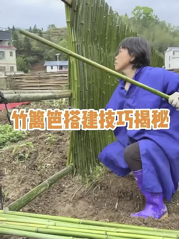 农村阿姨用竹子搭菜园篱笆,3-5 年都牢固!省钱又实用!
