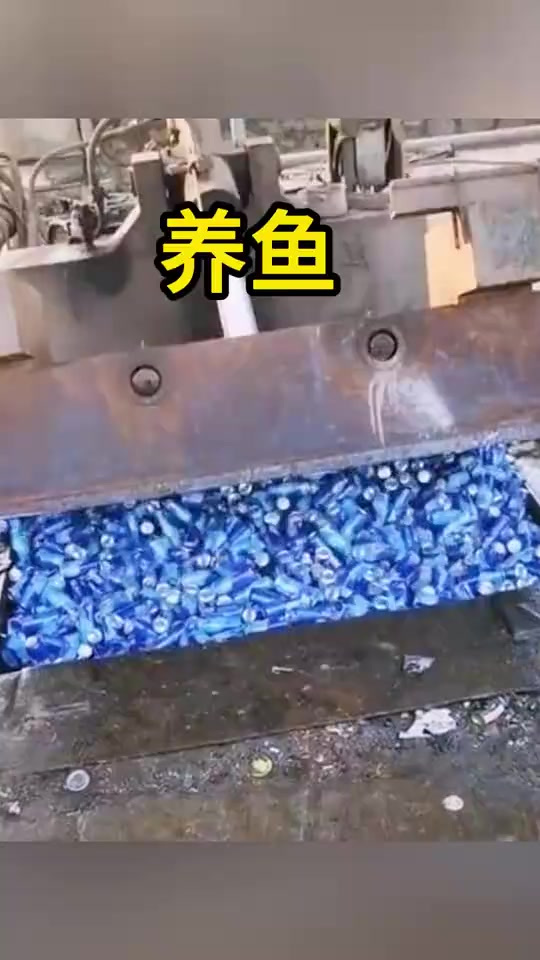 这也太会养鱼了,这谁能喝过你们