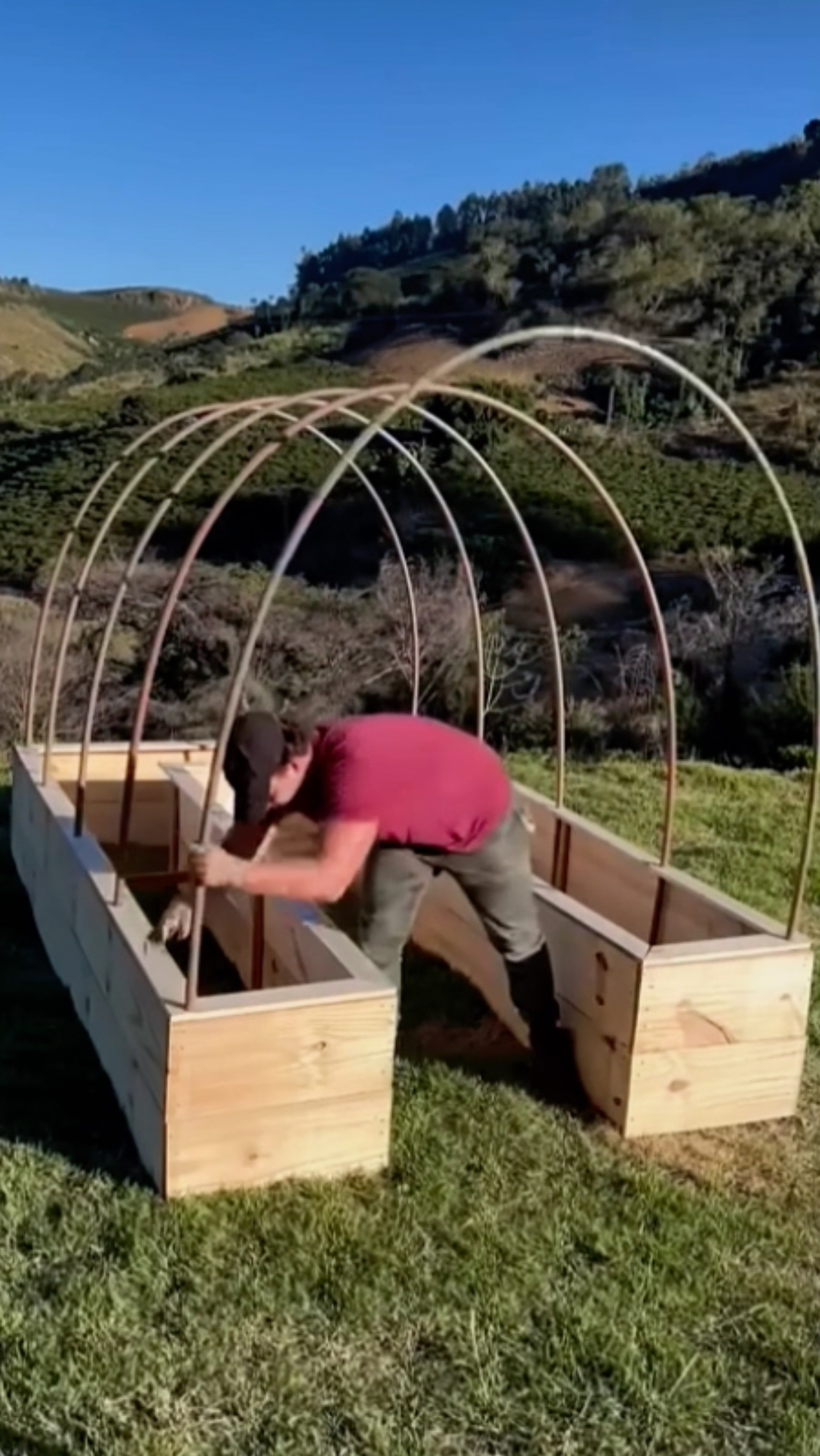 这样的菜棚应该不长虫子了吧