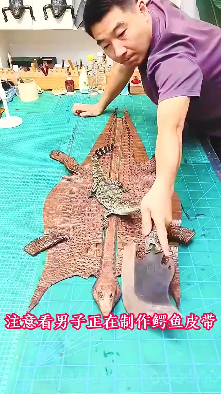 男子制作鳄鱼皮带