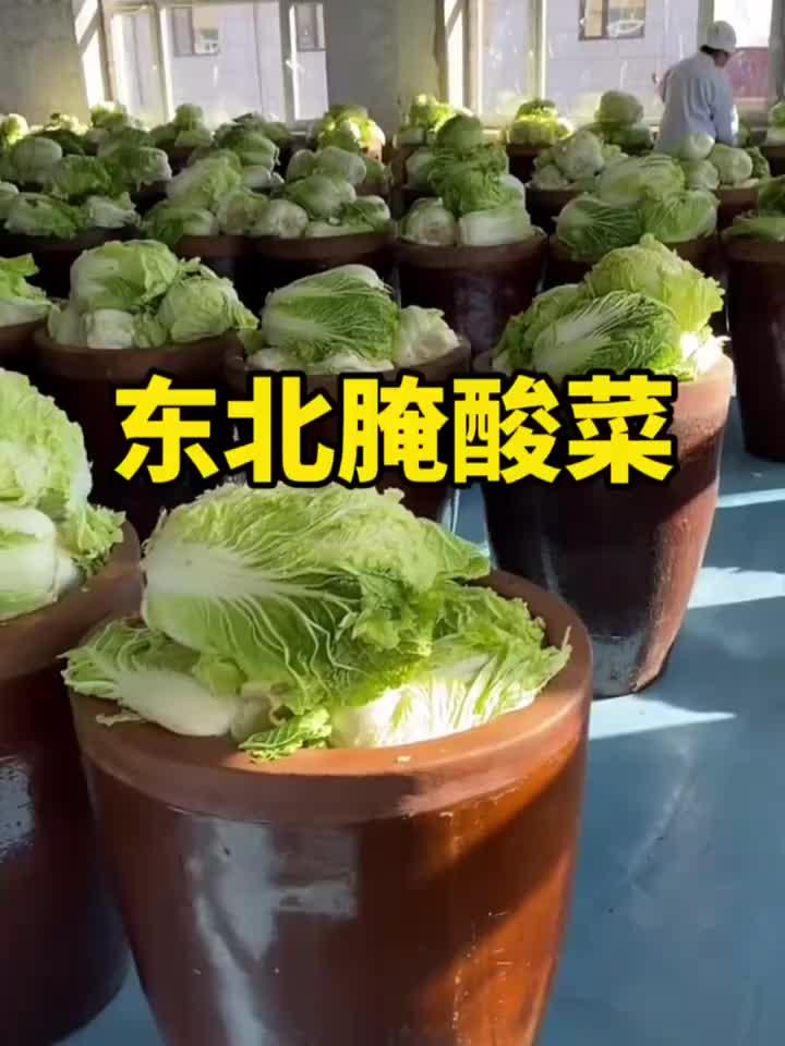这才是正宗的东北腌酸菜啊