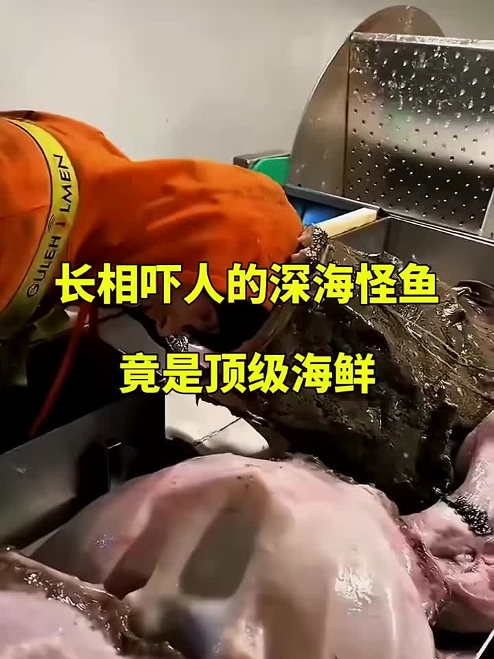 长相吓人的深海怪鱼，竟是顶级海鲜！