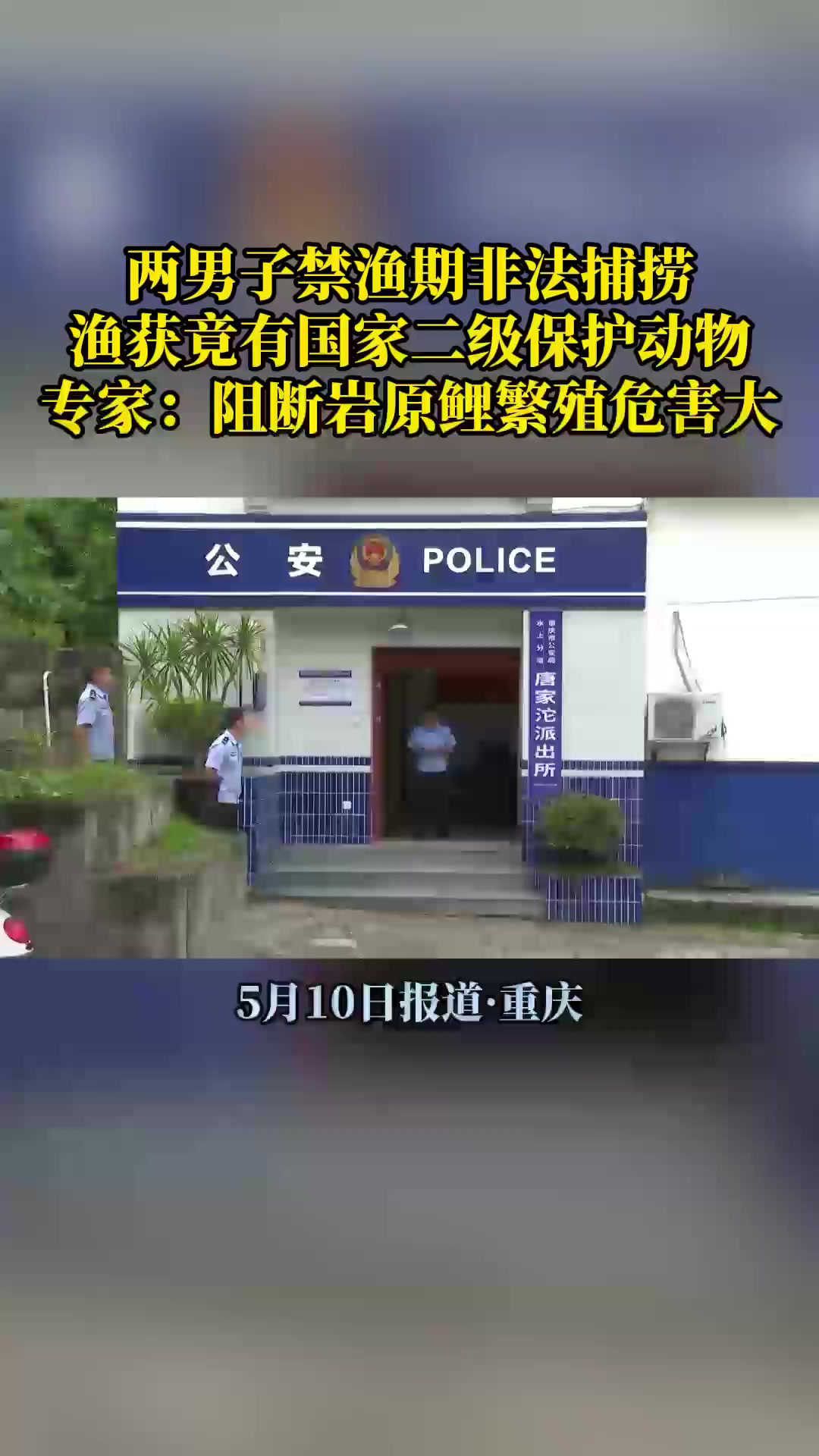 两男子禁渔期非法捕捞 新闻 媒体精选计划 为满足口腹之欲,两男子禁渔期内竟到长江水域去非法