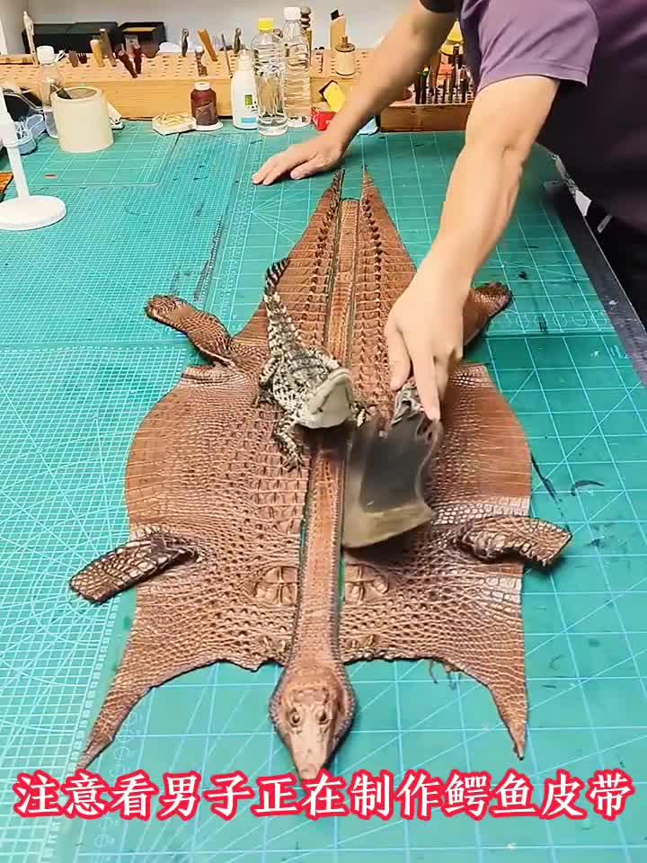 男子制作鳄鱼皮带