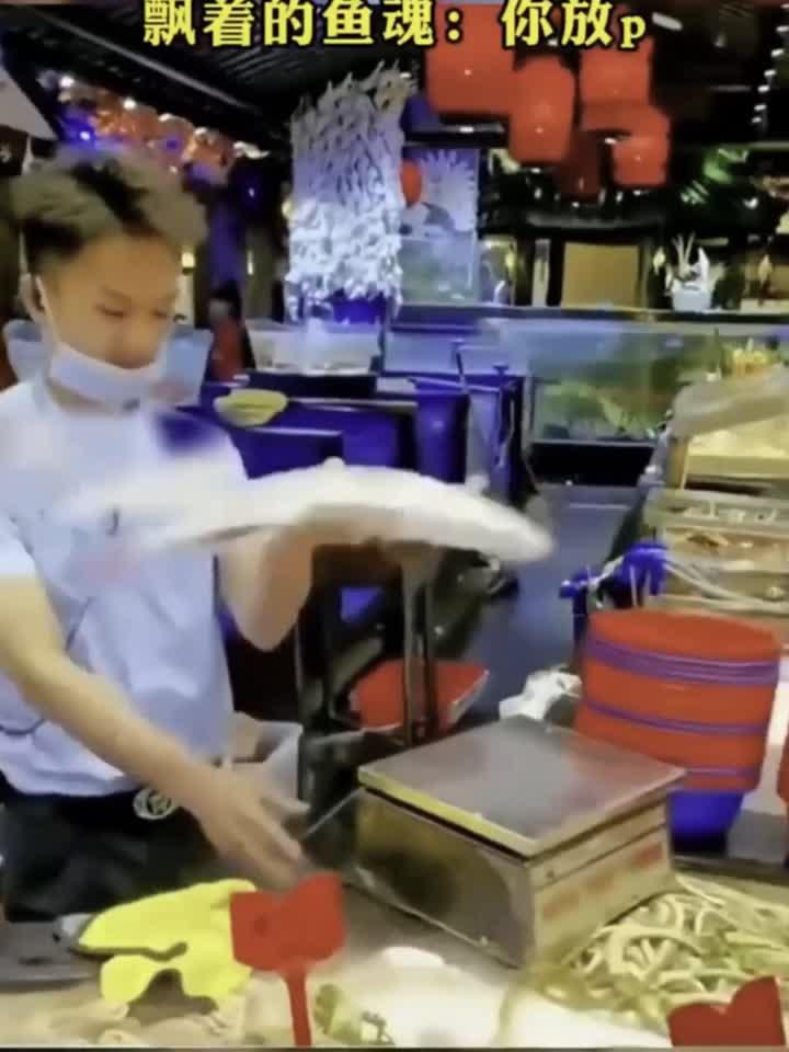 小伙手法就是好,鱼脑我复活了