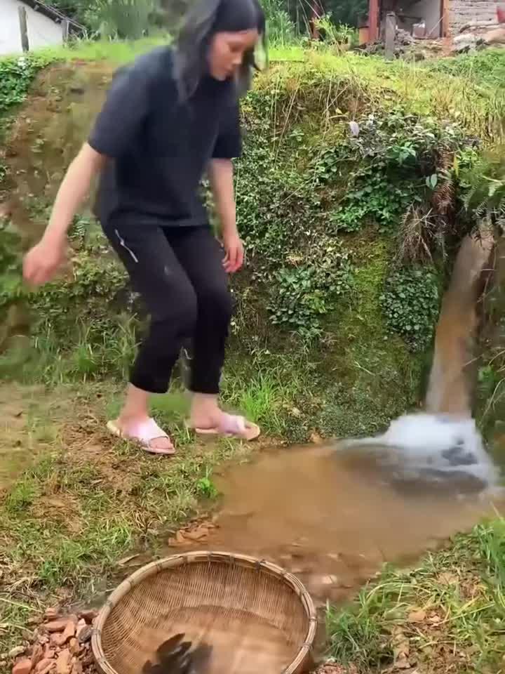 小溪沟抓石斑鱼,好手法