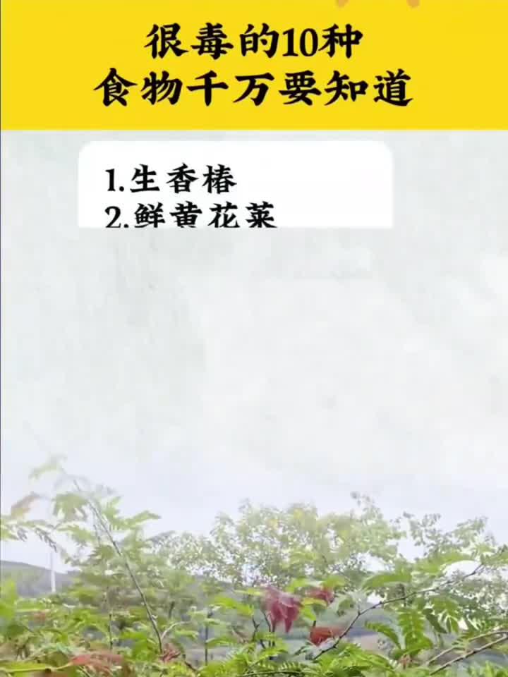 素食党必看!这几种素馅饺子也太香了吧
